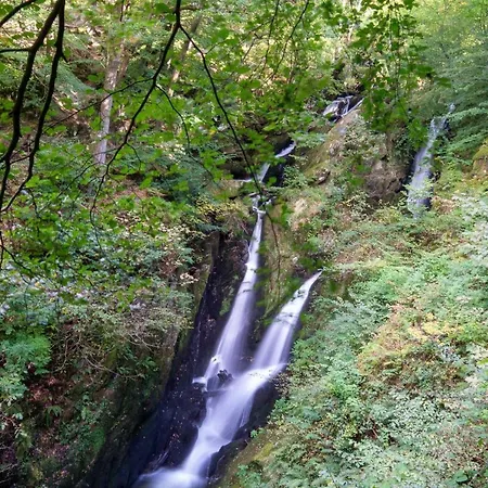Tree Tops At The Falls - Great For Families, Location With Parking Дом отдыха