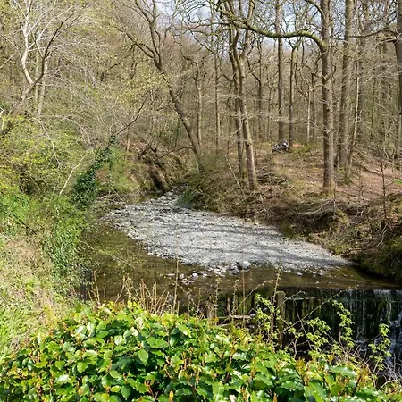 Tree Tops At The Falls - Great For Families, Location With Parking *